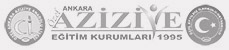 229x50px